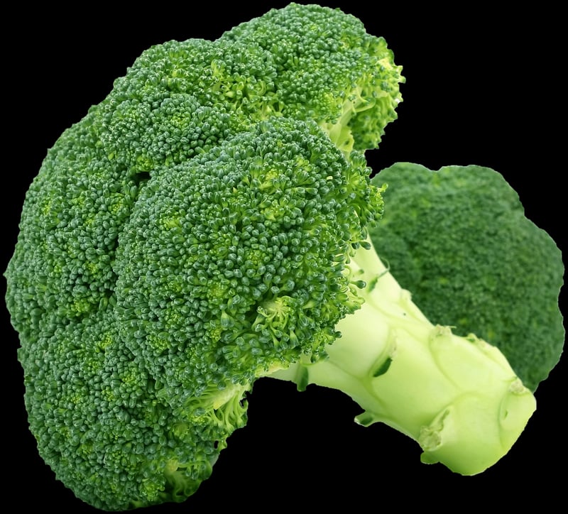 Mindful Eating